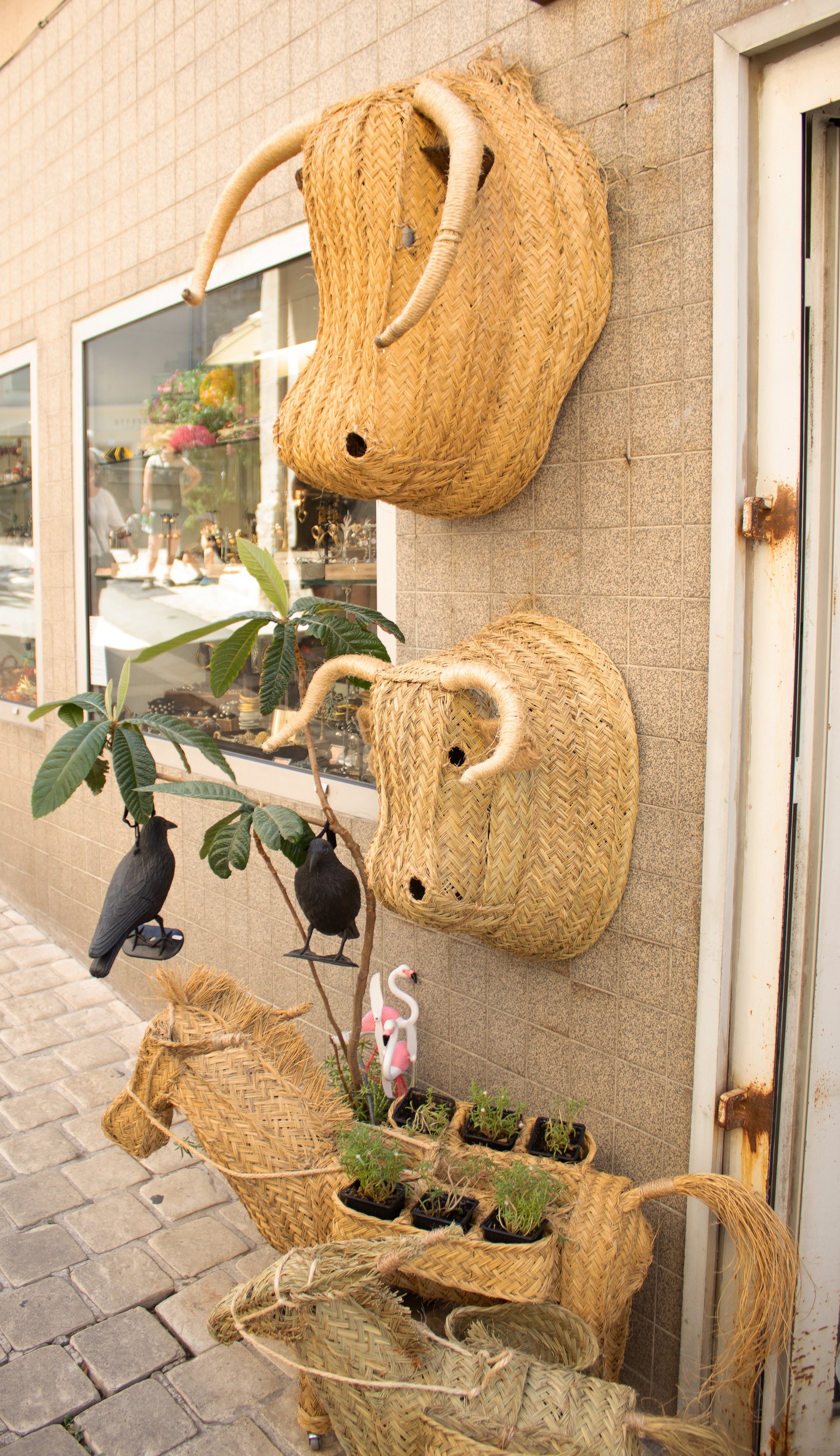 Le Grand Magasin — photo 2