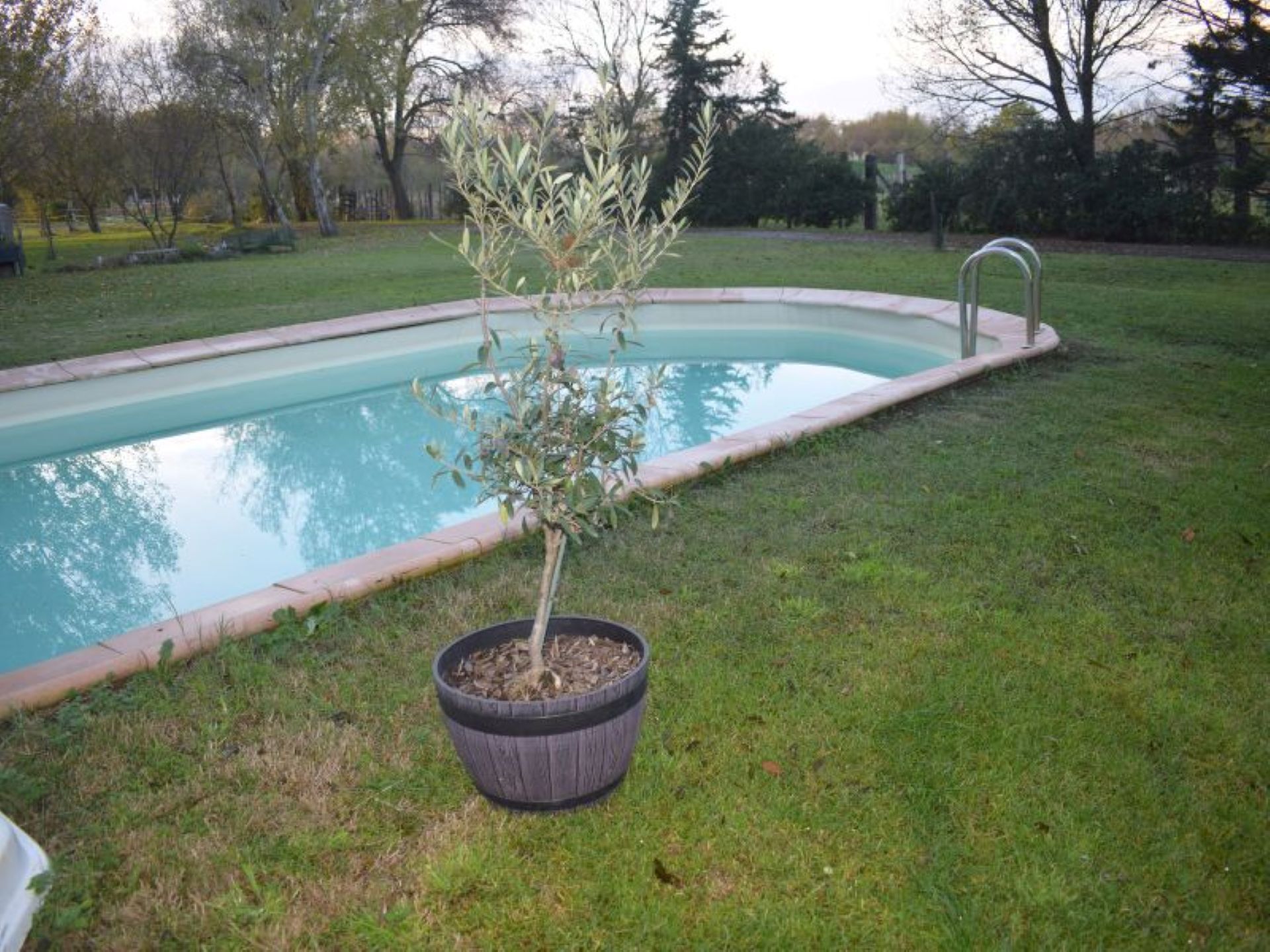 Fare Natiraa, Tarascon - photo 7