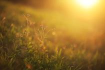 Conférence sur les séchoirs solaires_Arcon