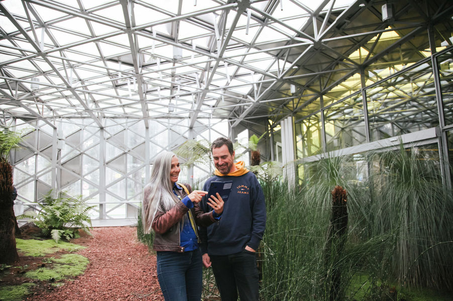 Cité du design - Serre