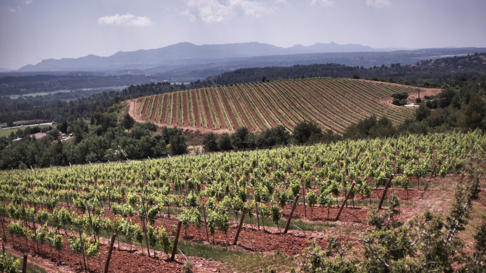 Château de la Galinière - photo 4