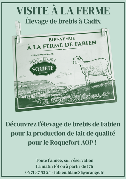 Visite de l'élevage de brebis de Fabien Blanc et dégustation de roquefort