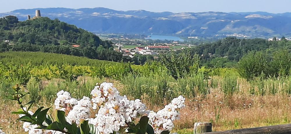 Vue du gîte