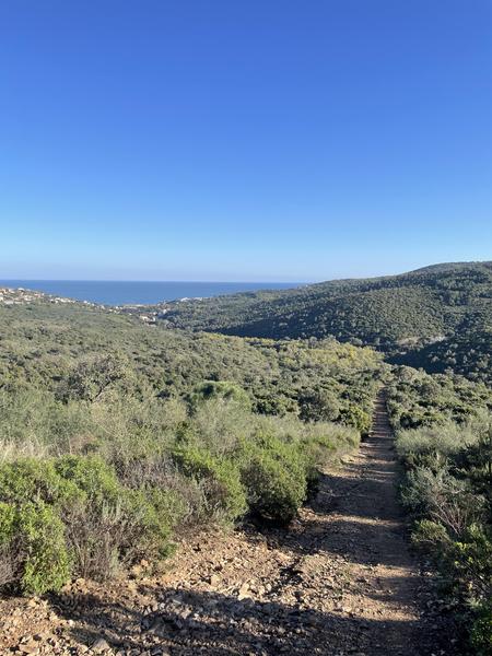 Le balcon des Issambres_Les Issambres (Roquebrune sur Argens)