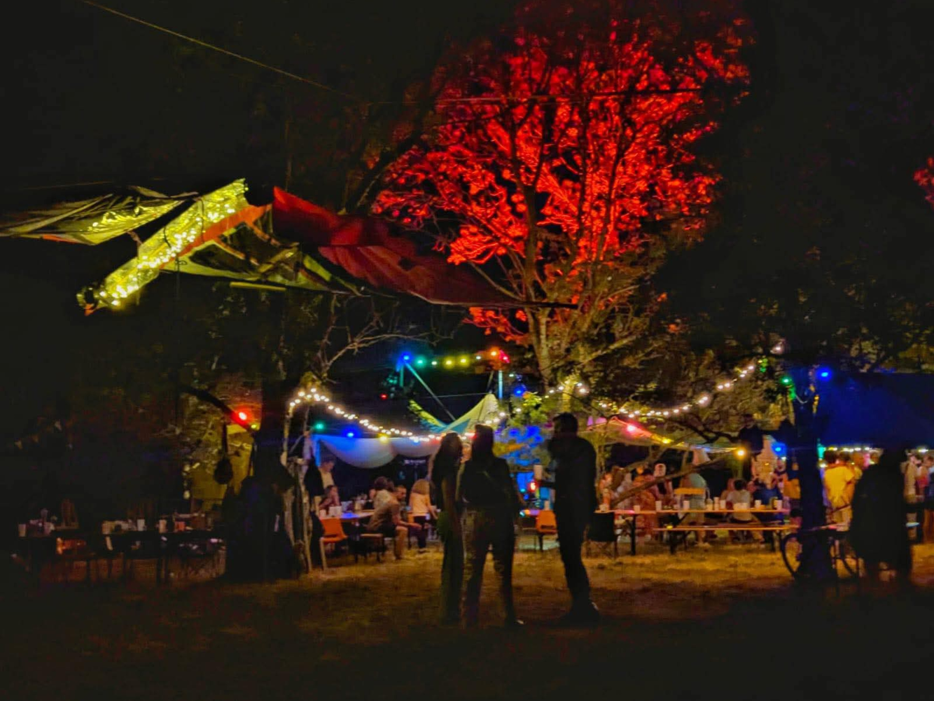 Festival les Oies Sauvages