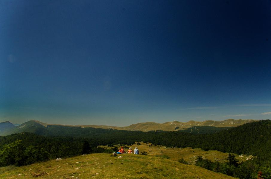 Panorama sur la forêt et les montagnes du Vercors