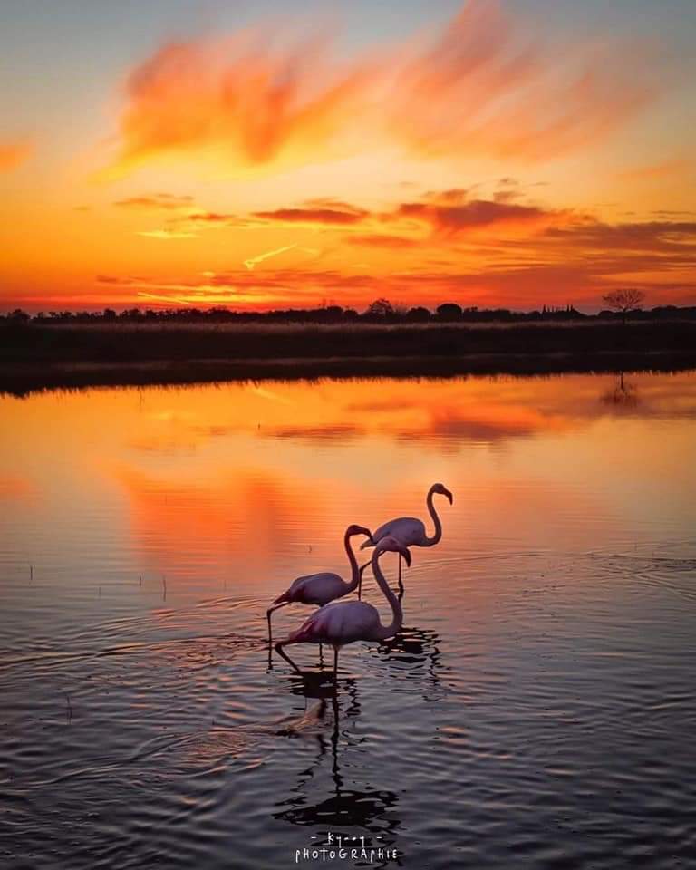 2ea54e663171dca5ec95