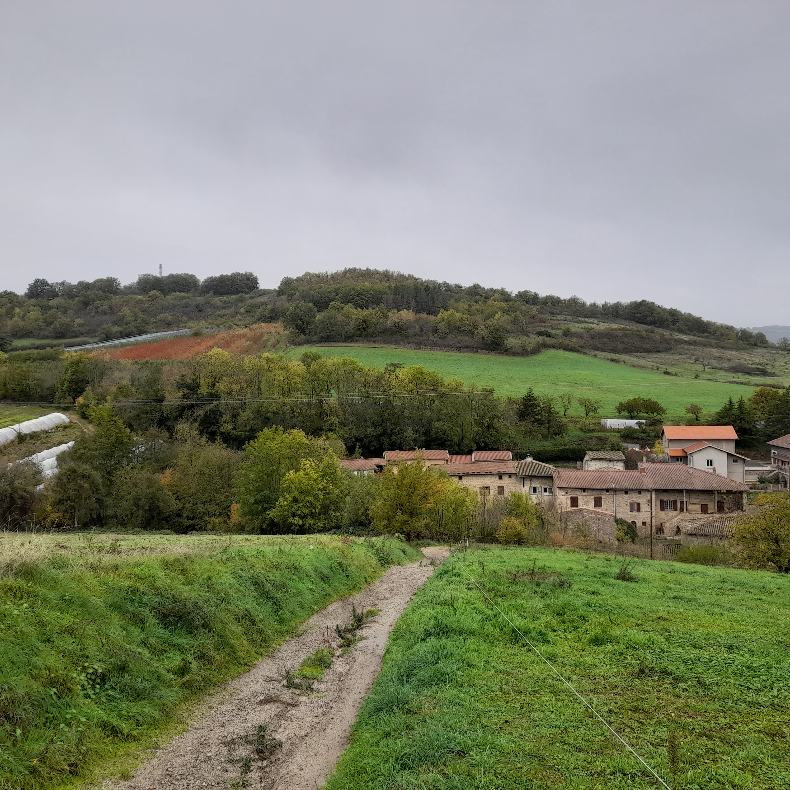 Vue ferme du Roman