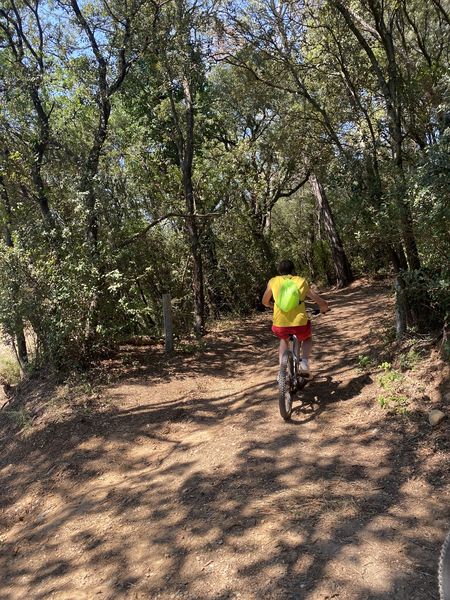 Balade à VTT électrique