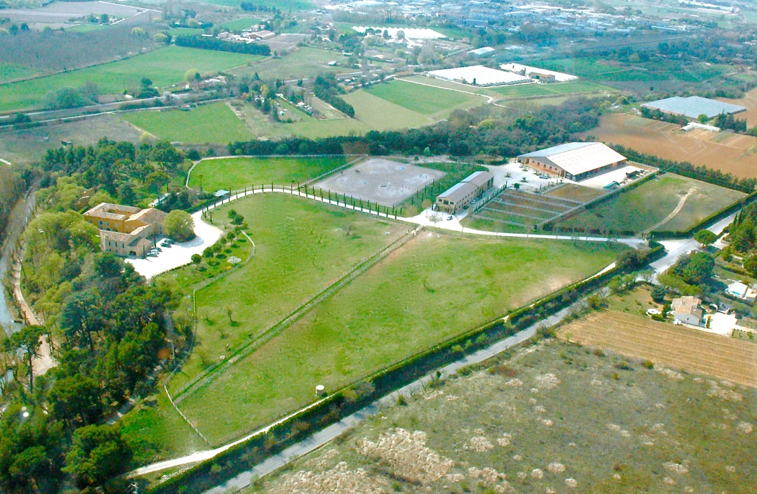 Haras de Castellane