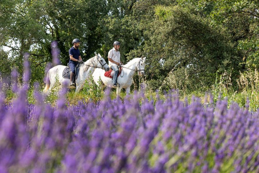 Road trip insolite_Grignan