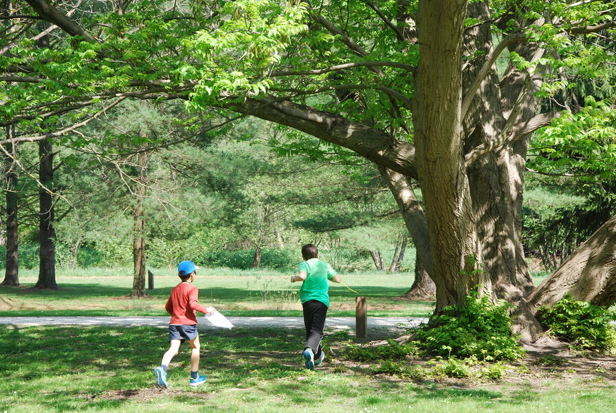 Photo parcours enfant