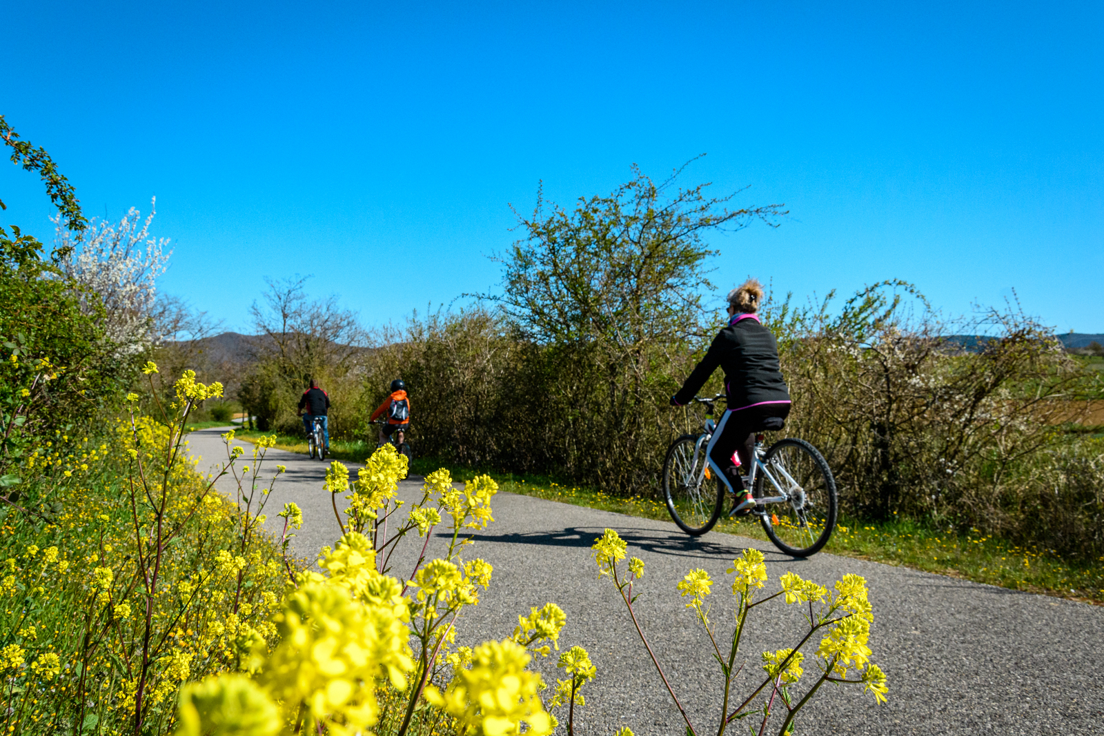 Events…Put it in your diary : Entre voie douce de la Payre et ViaRhôna - Sortie à VTC électrique à la demi-journée