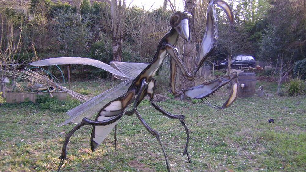 Nadine TRESCARTES - Sculpture fer 