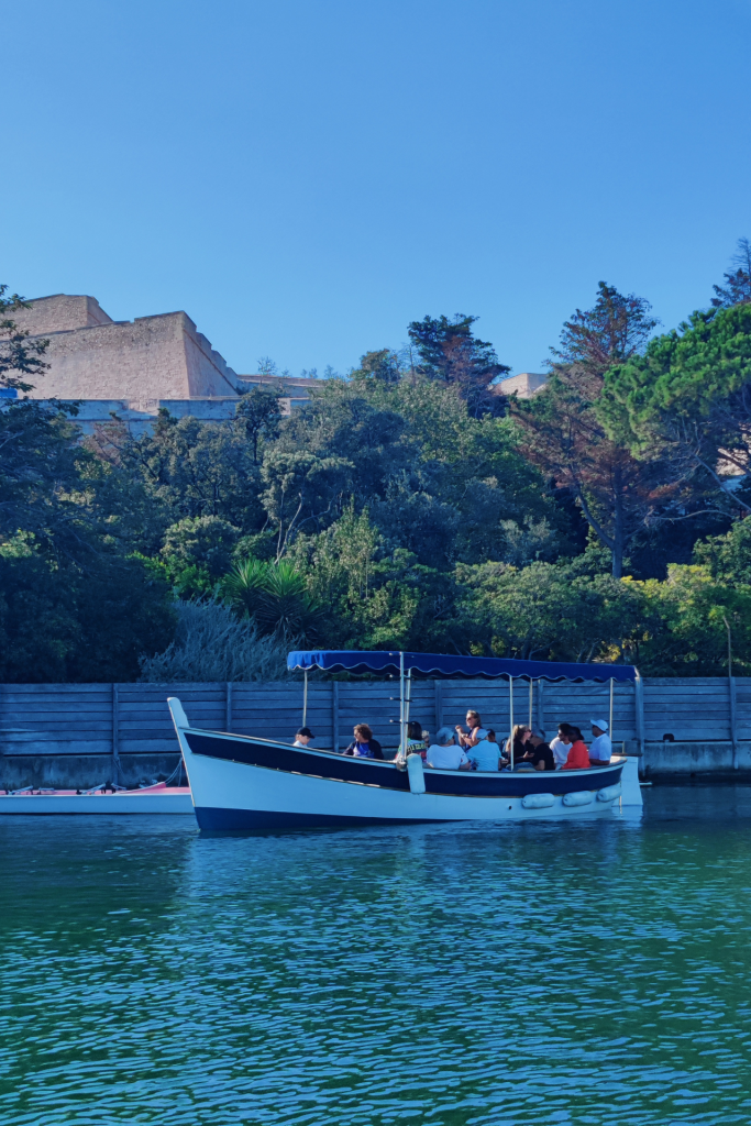 Capitaine Coco — photo 2