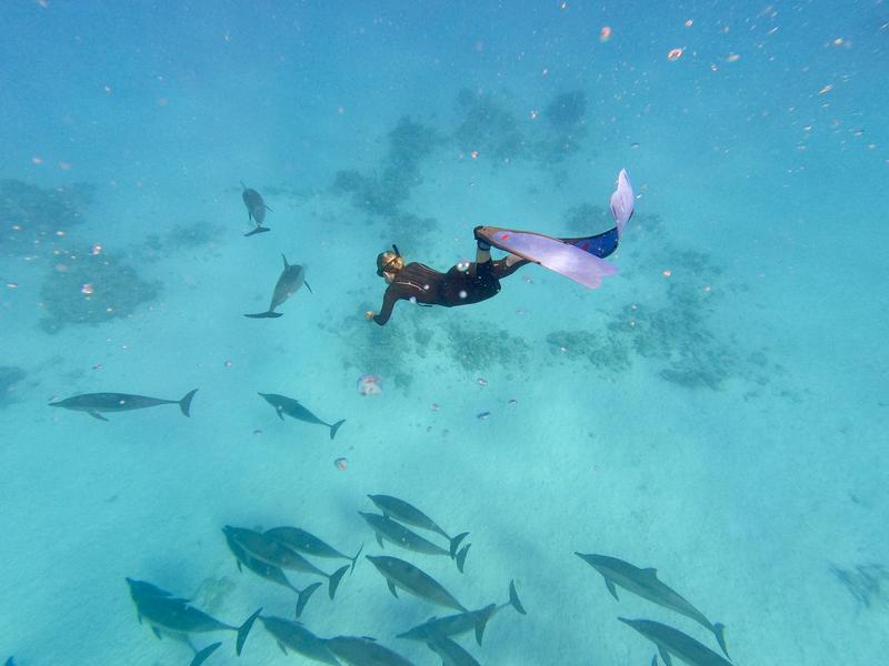 Posidonia
