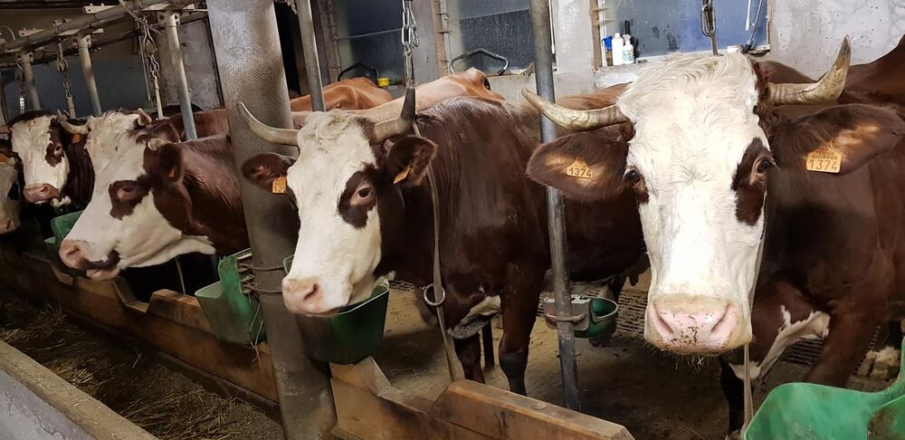 Ferme de la Gardette