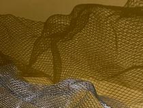 © Crédit photo : Susan Gold - Unsplash