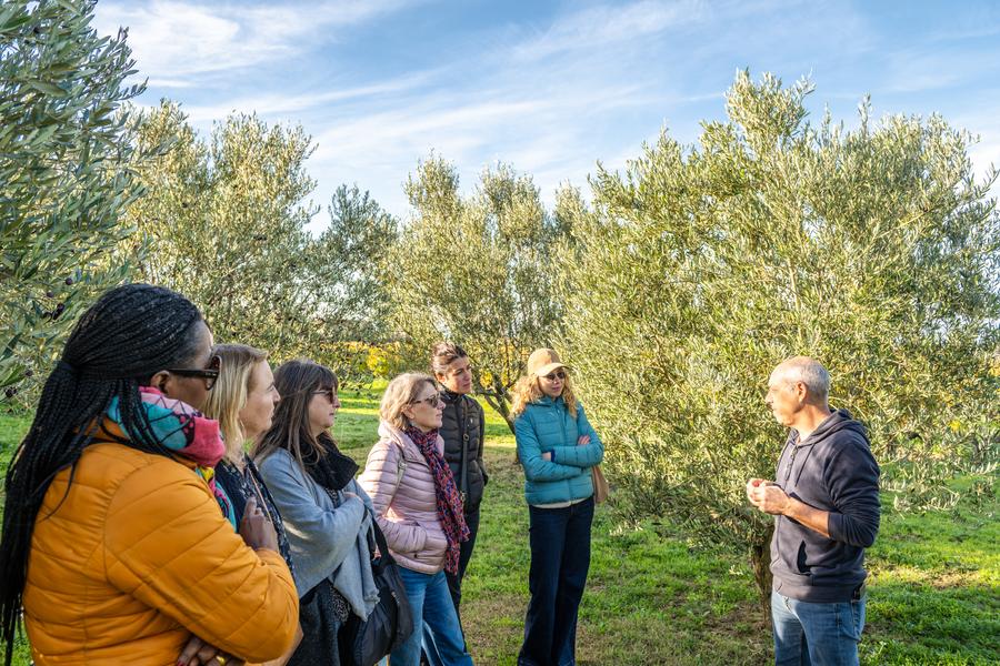 Dégustation d'huile d'olive à la boutique 