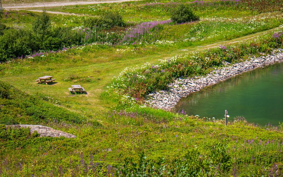 Lac de Vernant picnic area