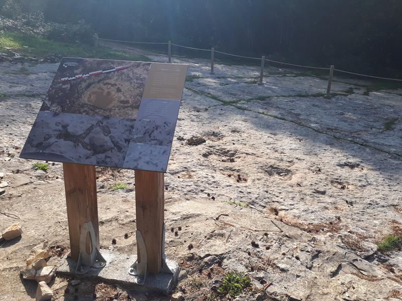 Les empreintes de dinosaures de Villette