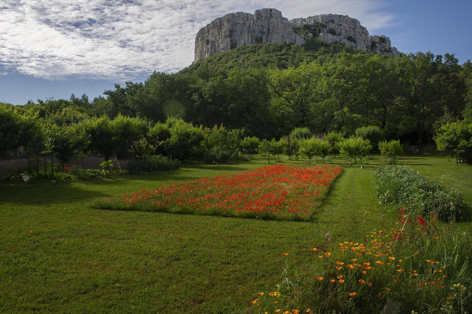 Le Grand Pin, Roquefort-la-Bédoule - photo 6