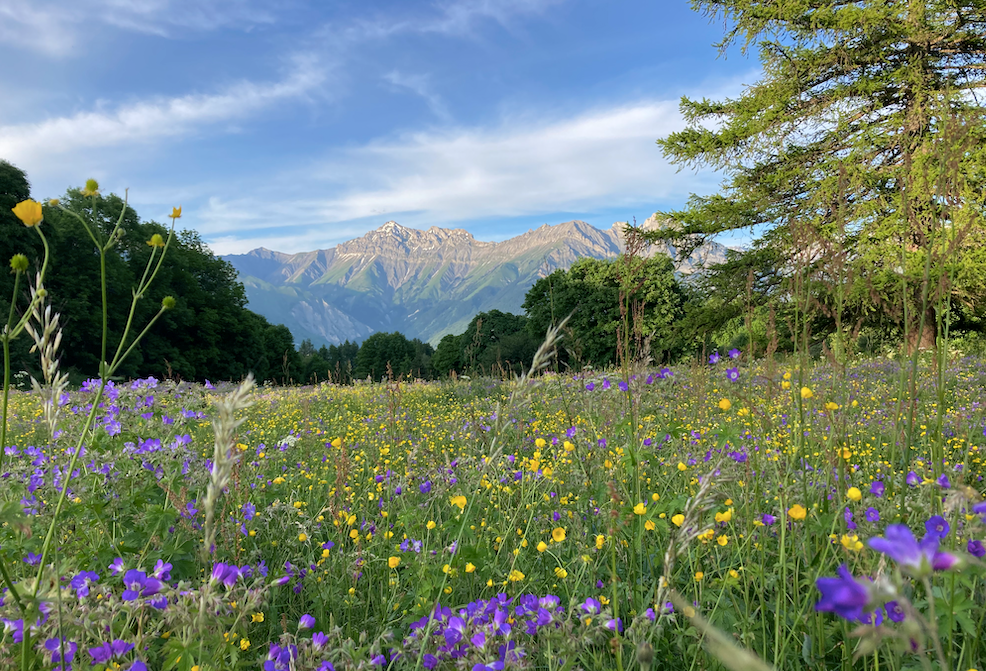 nature