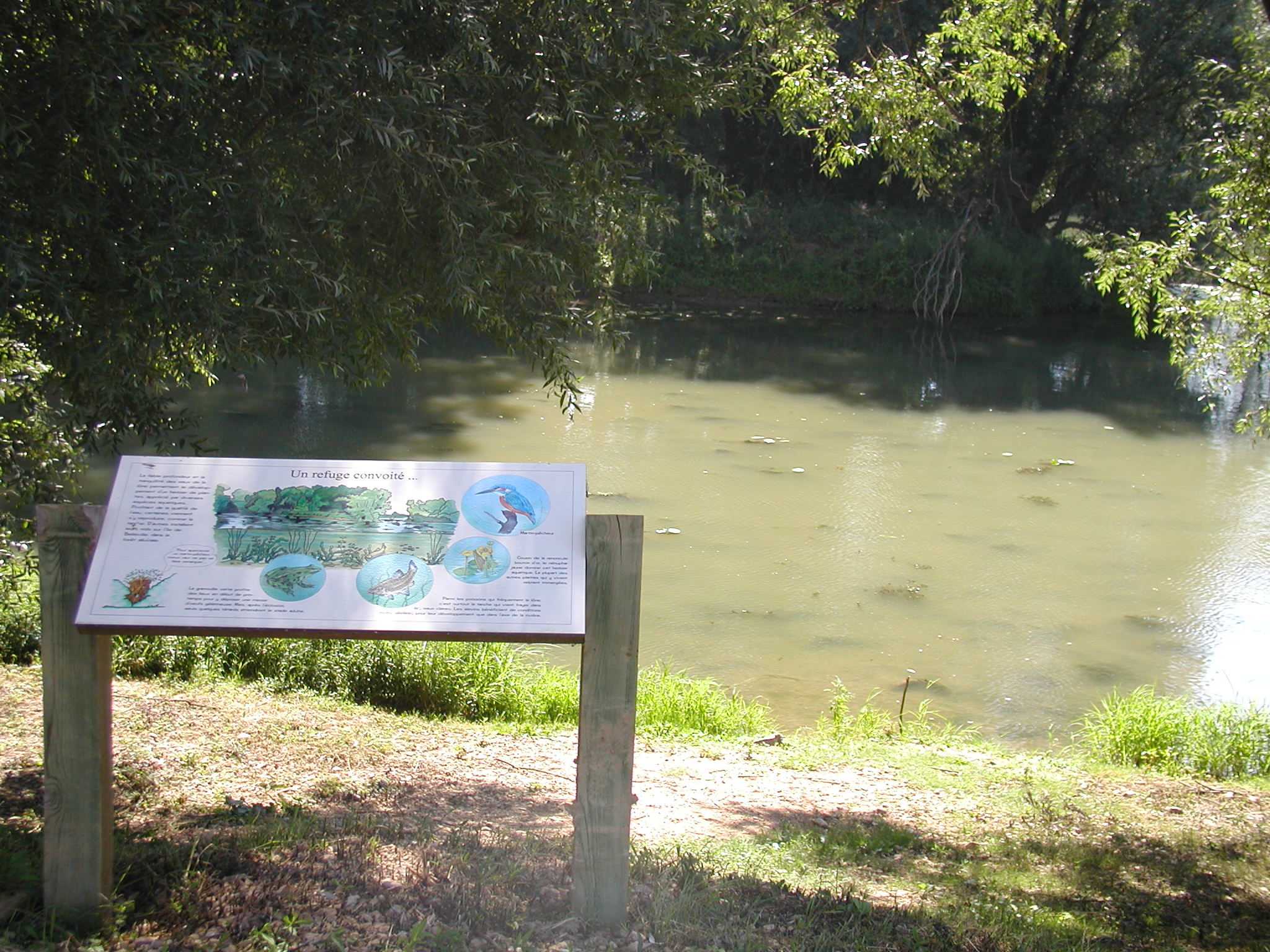 Sentier Nature Val de Saône