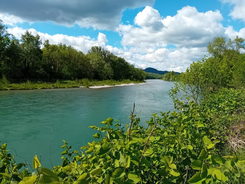 Parcours de pêche Passion sur le Rhône