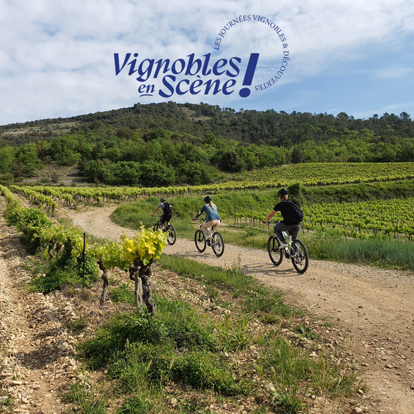 Vignobles en Scène : VELŒnoCastagnade départ du Domaine Walbaum_Vallon-Pont-dArc