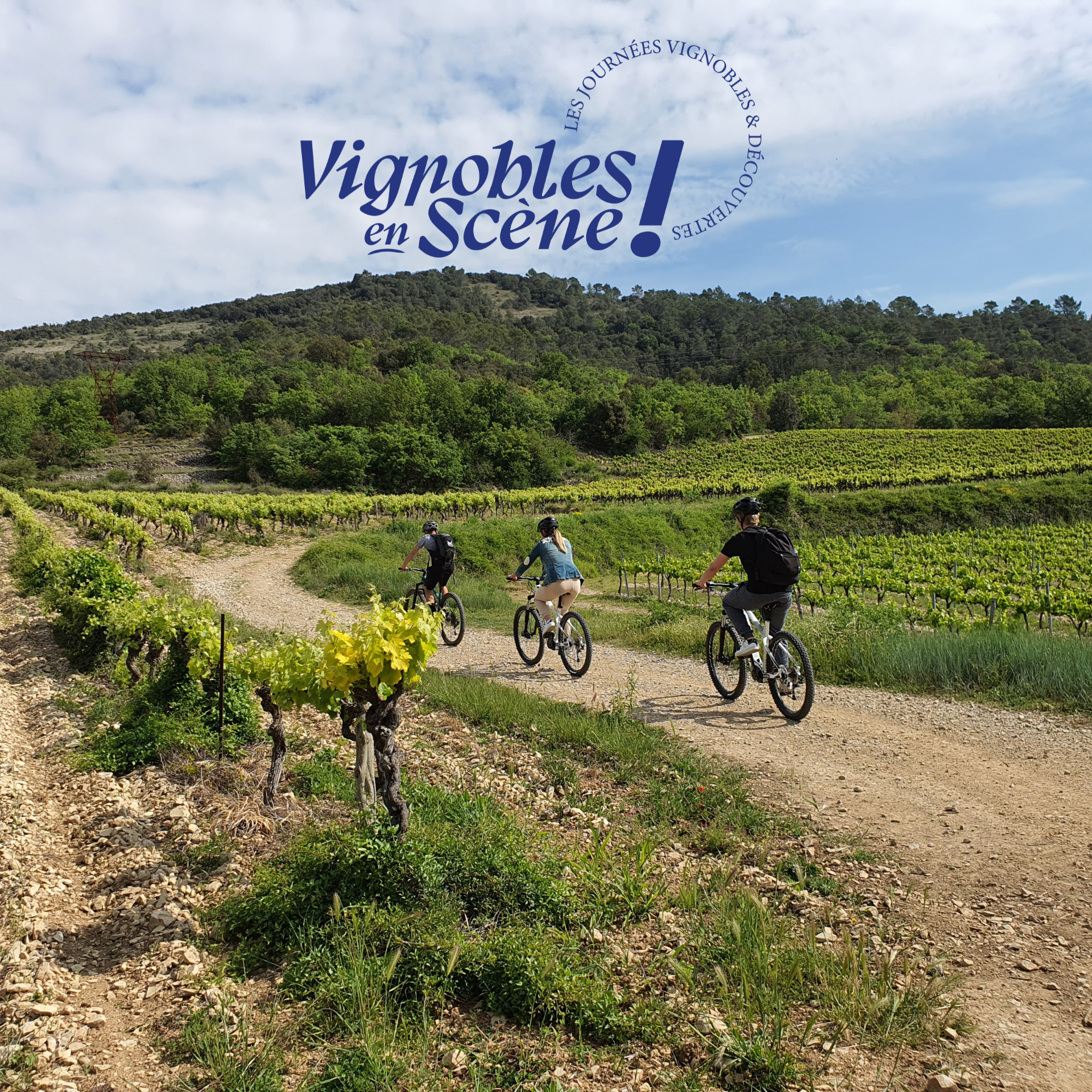 Vignobles en scene El Desorden(3)