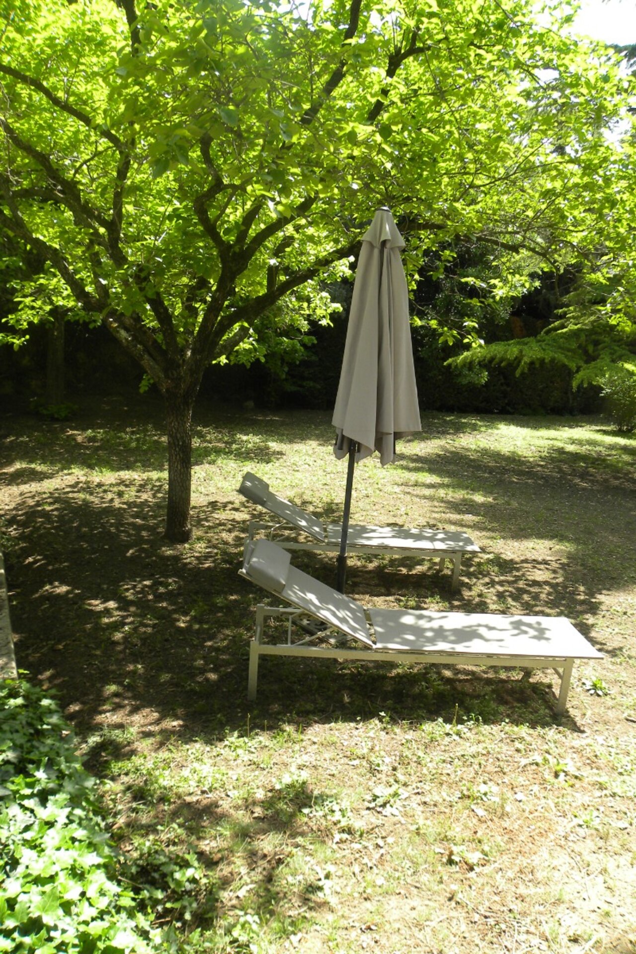 Domaine de MESSERY, Pertuis - photo 20