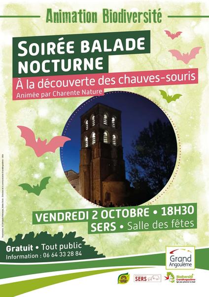 Balade nocturne - A la découverte des chauves-souris