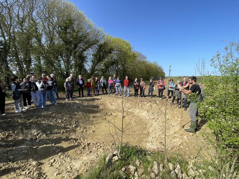 Un groupe de personnes observe un trou dans la terre, à la recherche de reptiles