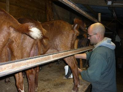 Virginie et Sylvain Gillet