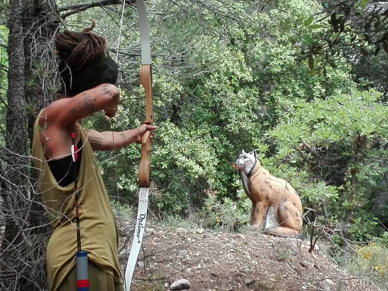 Tir à l'arc en pleine natu