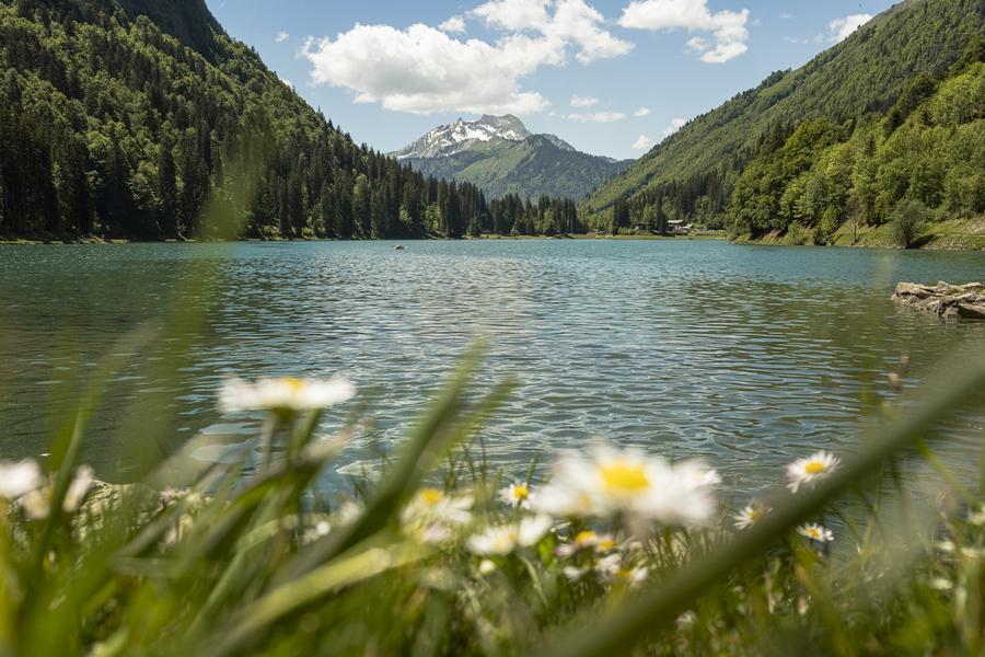 Lac de Montriond_Montriond