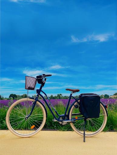 Orange Bike Via Venaissia_Orange