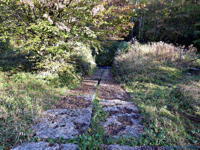 Le bassin sud de Drom_Drom