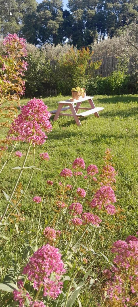 Lou Soulèu Me Fai Canta, Saint-Rémy-de-Provence - photo 18