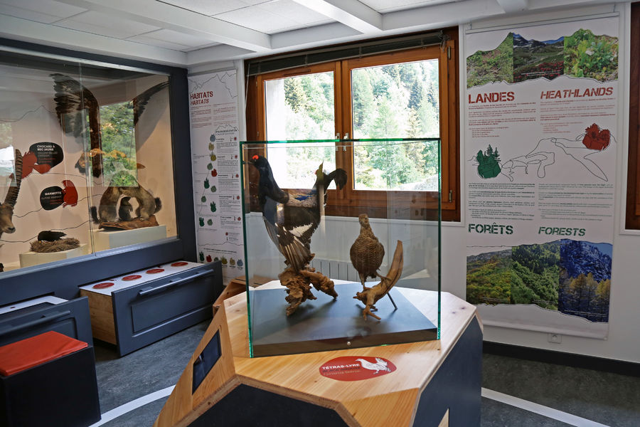 Chalet de la réserve naturelle des Aiguilles Rouges