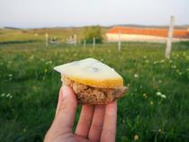 Animations "fromage et paysage"_Sauvain