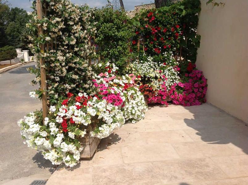 Gîte Petite Maison d'Amis-Fleurs-La Gaude-Gîtes de France Alpes-Maritimes