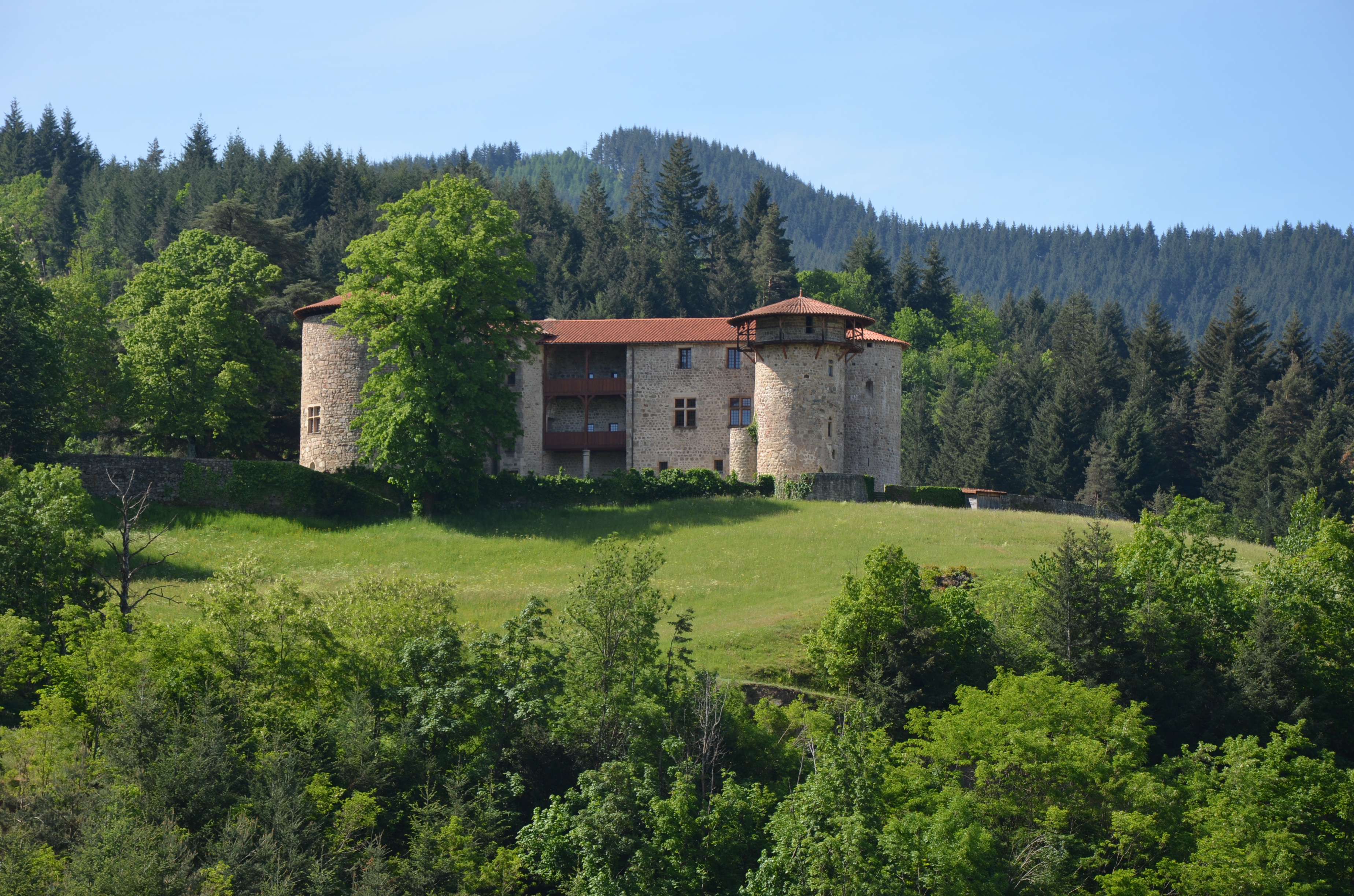 Château la chèze boisé