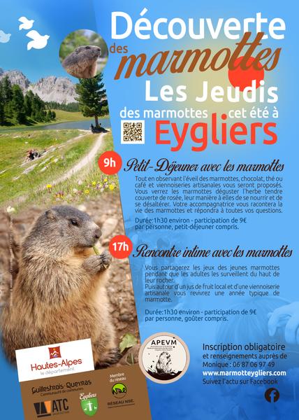 Découverte des marmottes : petit-déjeuner avec les marmottes_Eygliers
