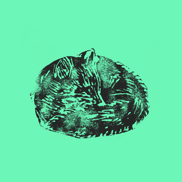 Atelier "Animaux d'ici & mots d'autrefois" - Journées européennes du patrimoine