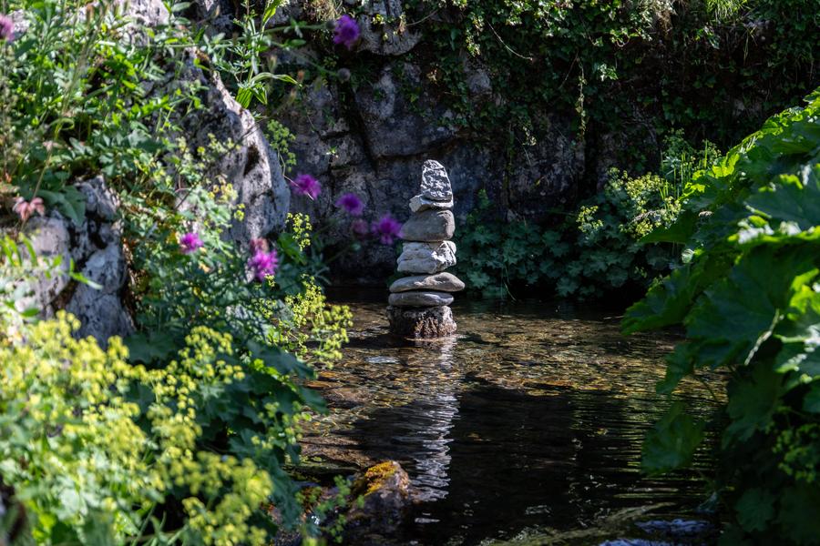 Jardin Botanique Alpin de la Jaÿsinia à Samoëns