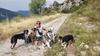 Passion Dog 04_Castellane