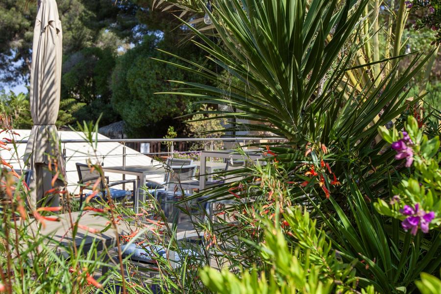 Le Jardin