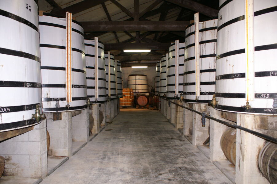 Visite guidée - Exploitation Pineau Cognac Roussille